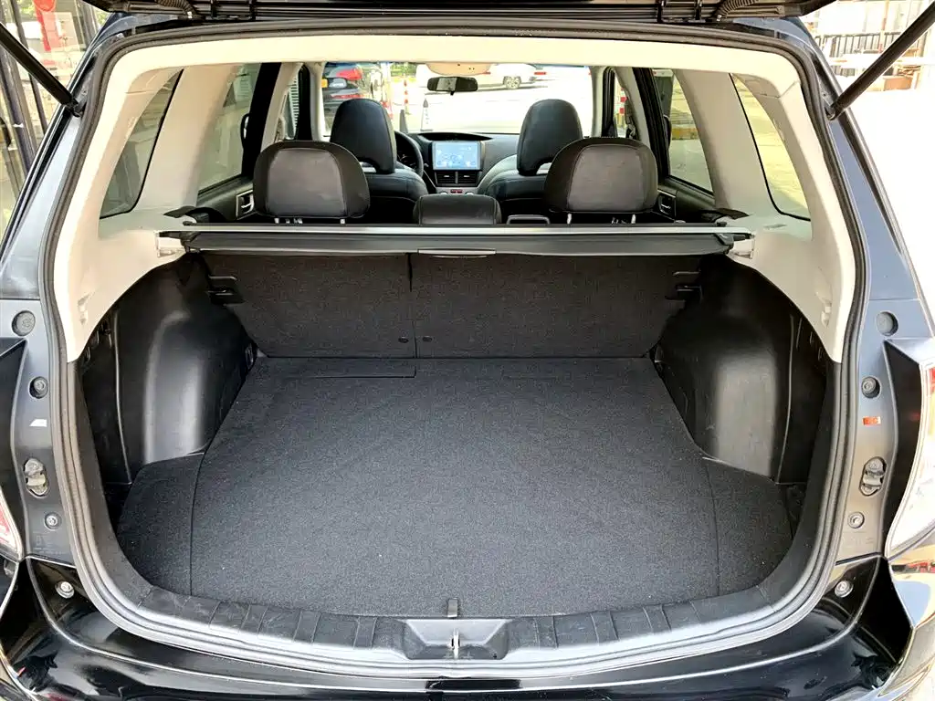 Subaru Forester 2009 Model 2.5XS Automatic Luxury фото 15