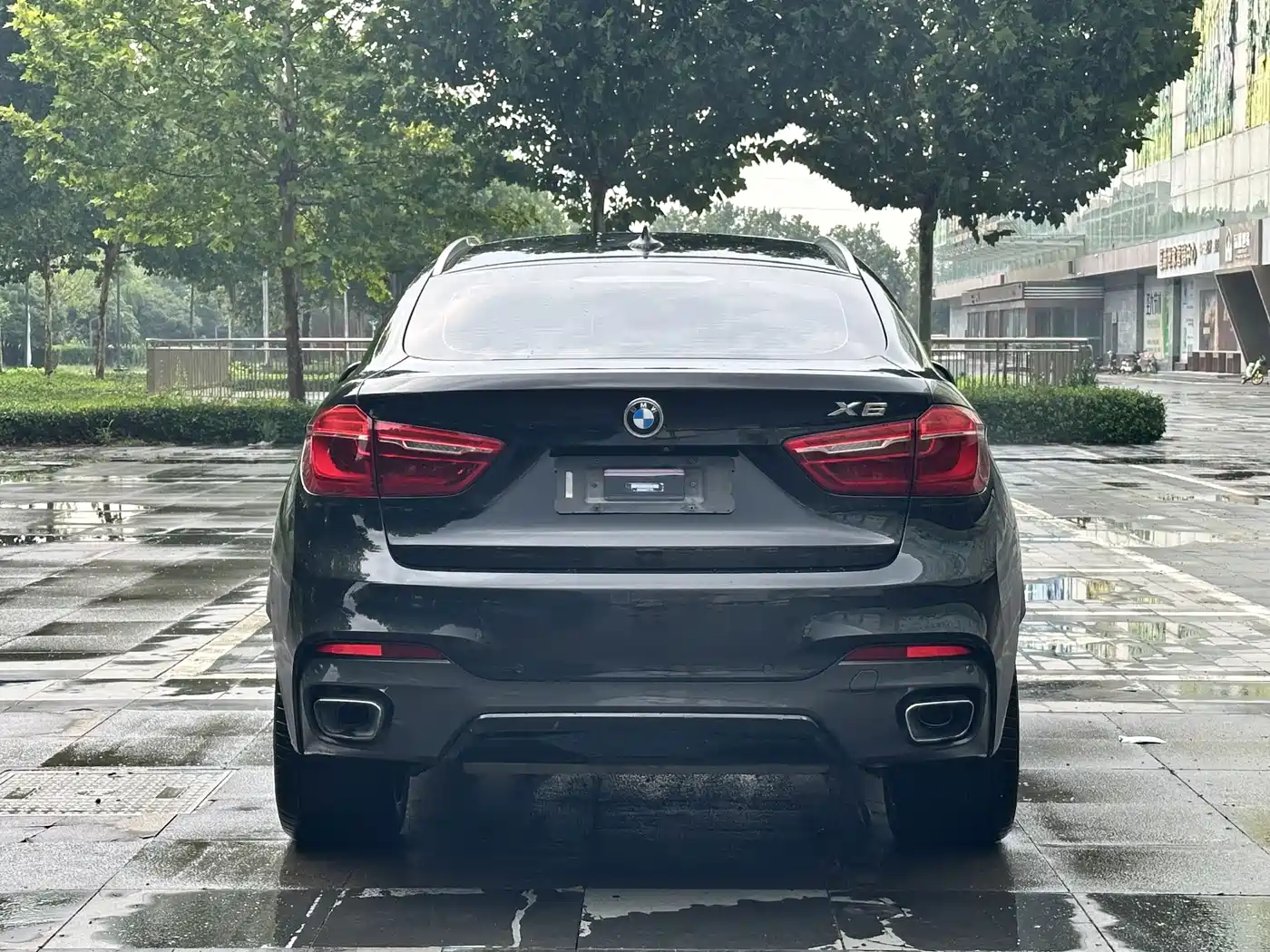 Photo 12 - BMW X6
