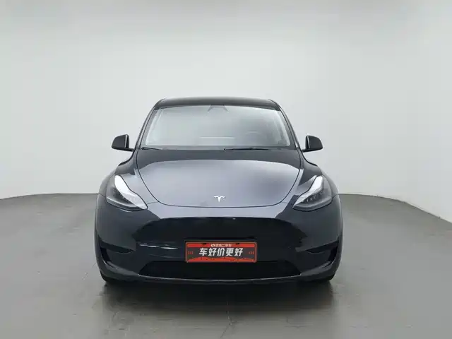 Tesla Model Y 2024 Rear-Wheel Drive Version — фото 3
