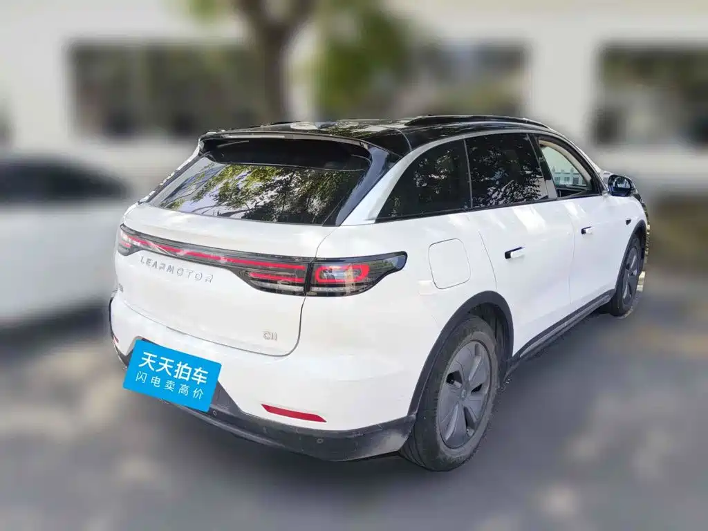 Leapmotor C11 2021 2021 Luxury Edition