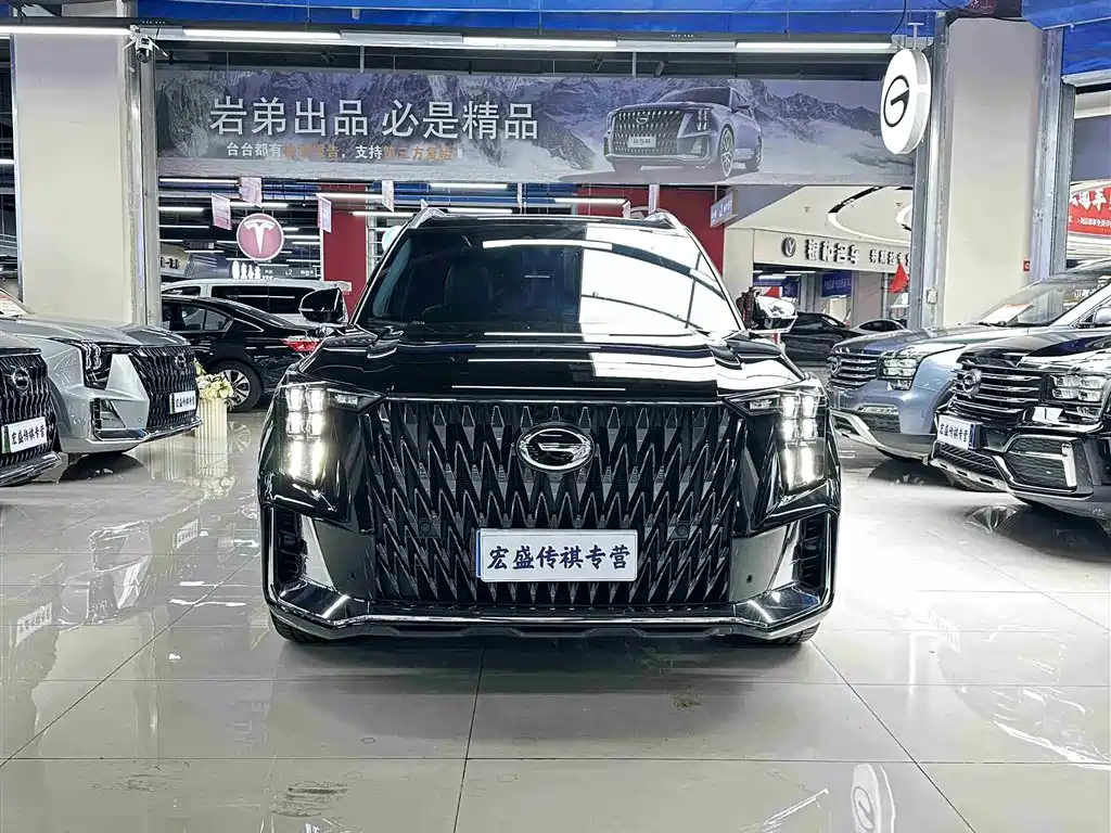 GAC Trumpchi Trumpchi GS8 2022 Dual Engine Series 2.0TM 2WD Premium Edition (7-Seater) фото 4