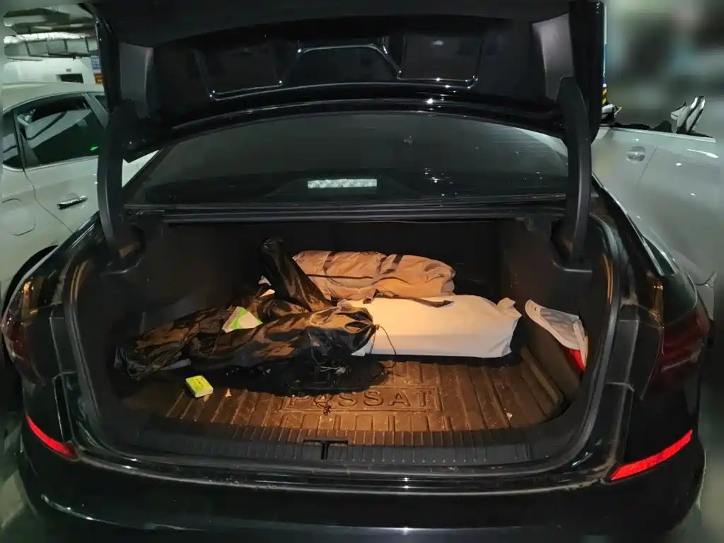 صورة 10 - Volkswagen Passat