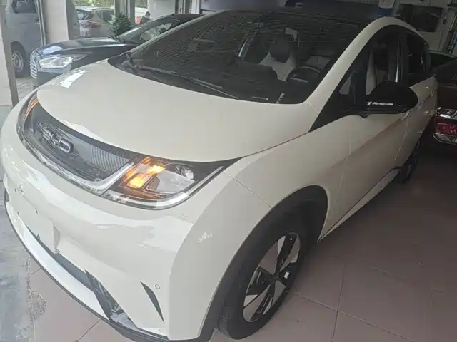 BYD Dolphin 420km, Стиль