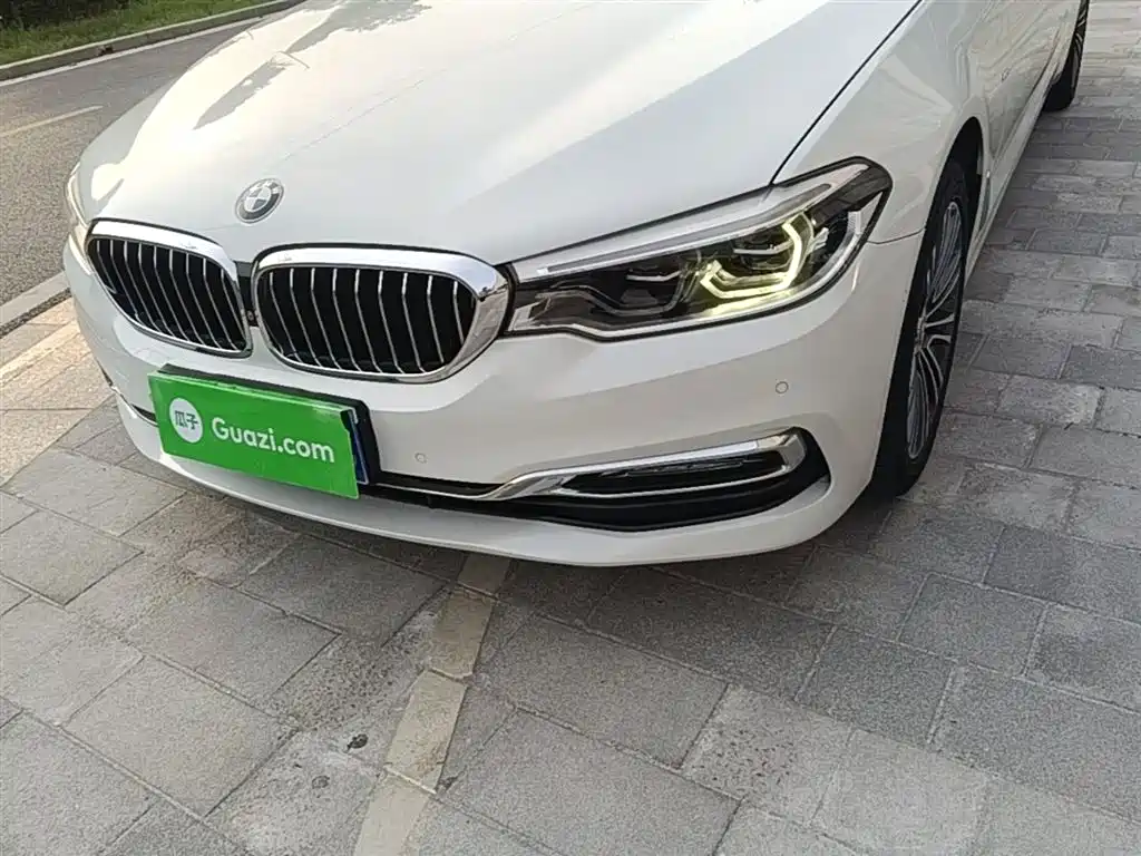 BMW 5 Series 2018 Facelift 530Li Exclusive Luxury Package фото 24