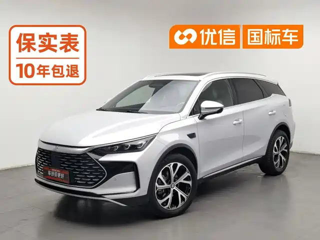 BYD Tang New Energy 2025 Smart Driving Edition DM-i 115KM Premium — фото 1
