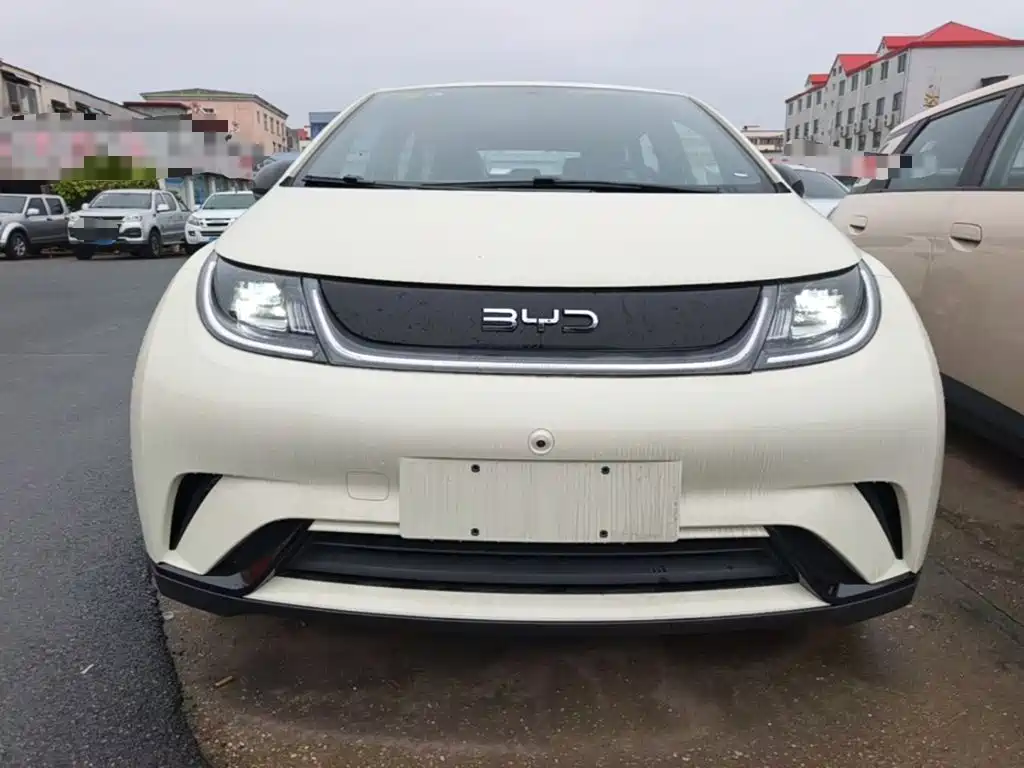 Фото 3 - BYD Dolphin