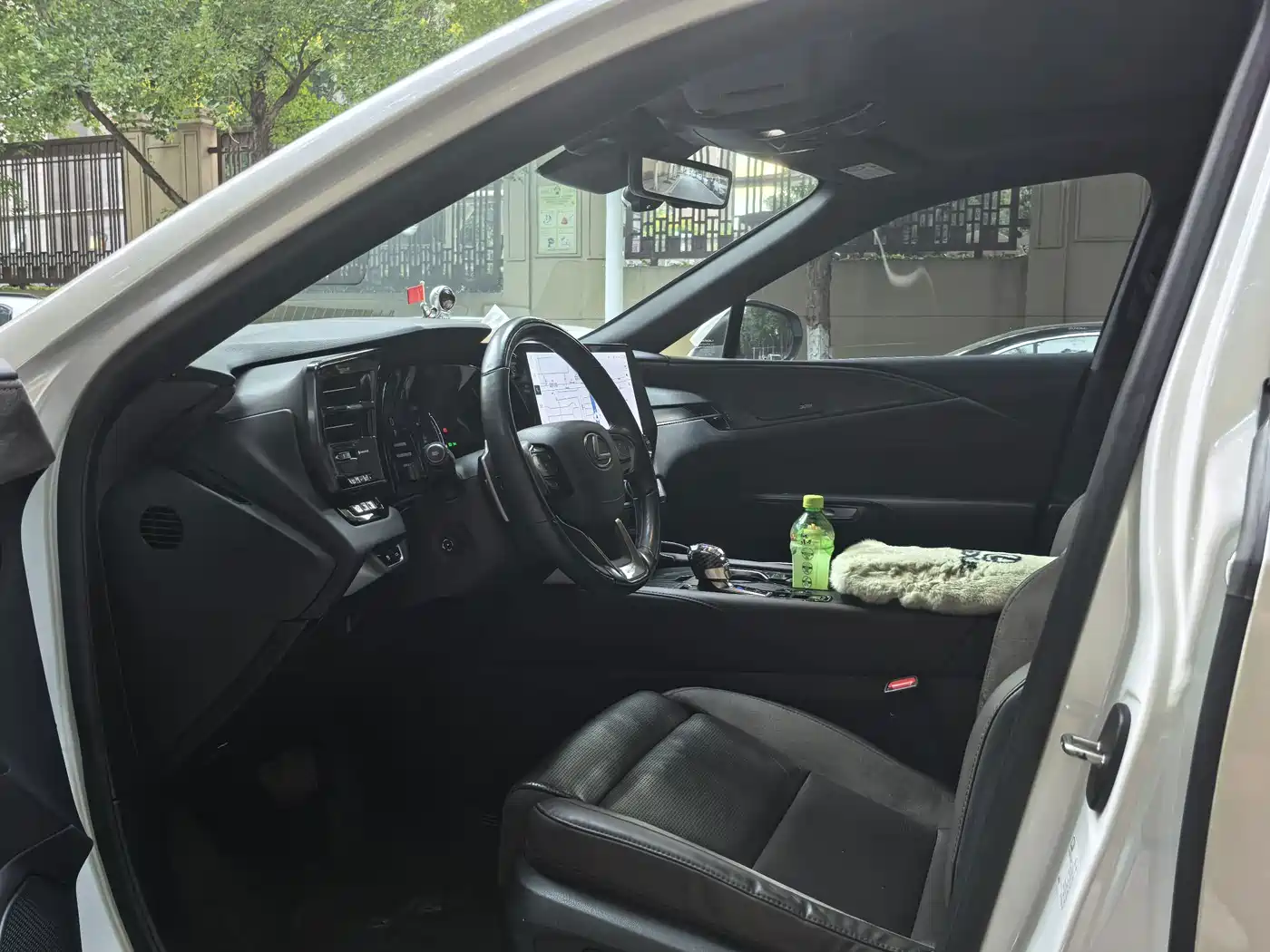 Lexus RX New Energy 2023 2023 450h+ 4WD Enjoyment