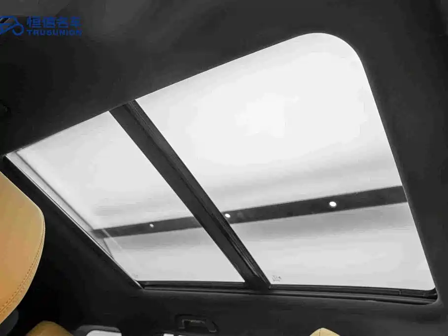 Photo 20 - GAC Trumpchi Trumpchi GS8