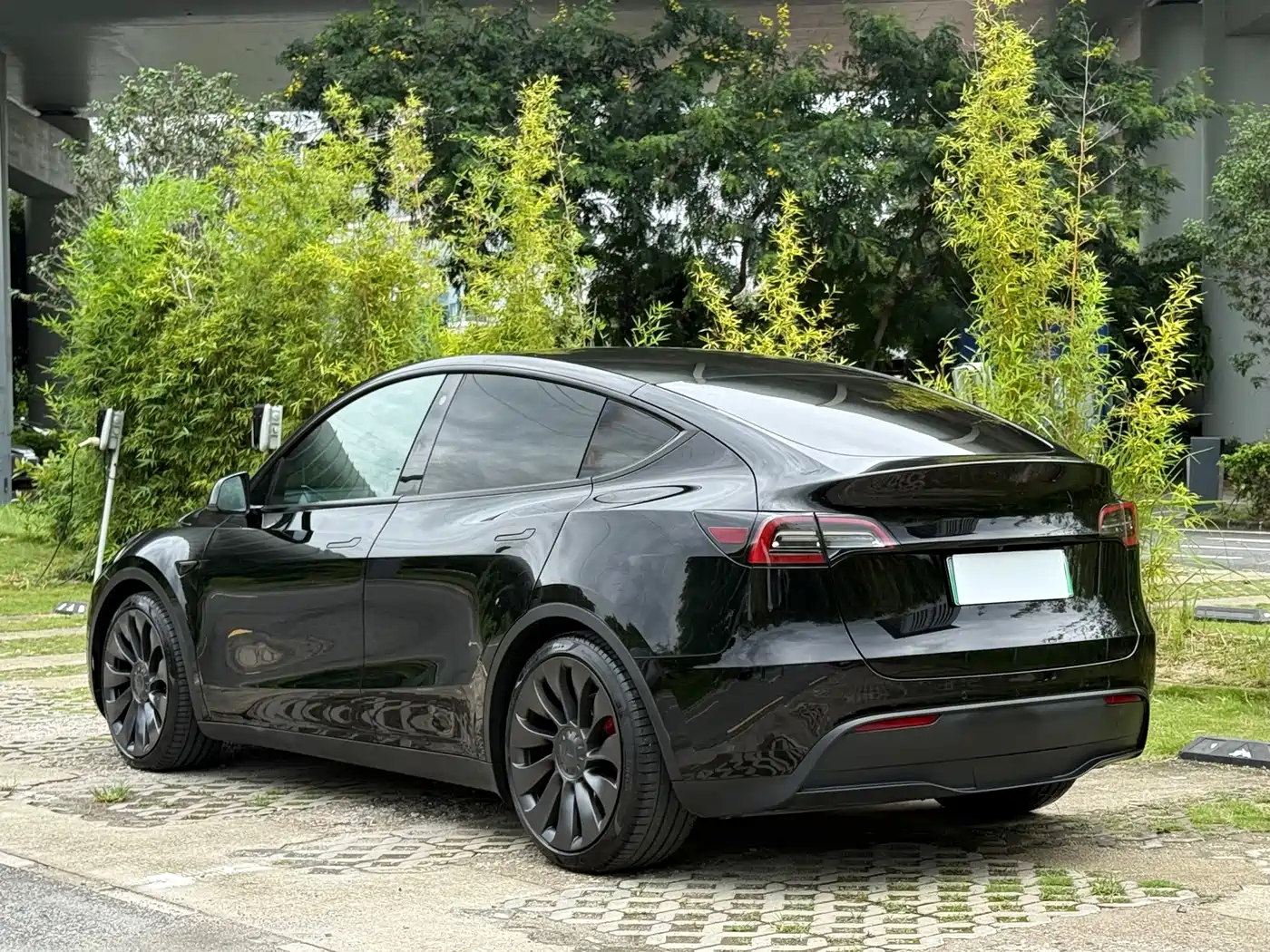 Фото 4 - Tesla Model Y
