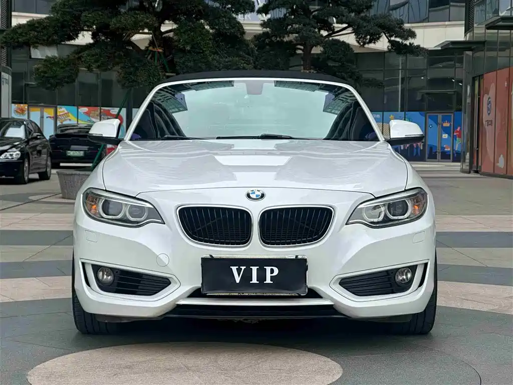 BMW 2 Series (Import) 2015 218i Convertible Coupe фото 2