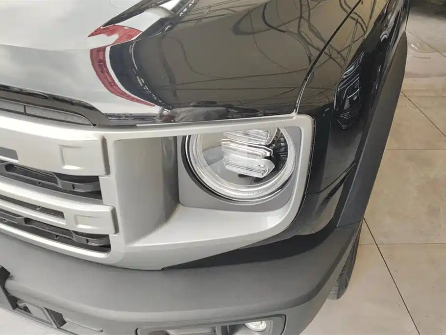 Haval Big Dog 2024 1.5T DCT Border Collie Edition фото 5