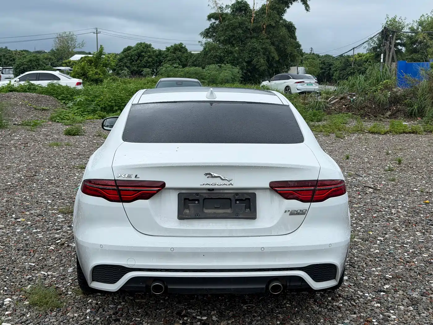 Фото 8 - Jaguar XEL