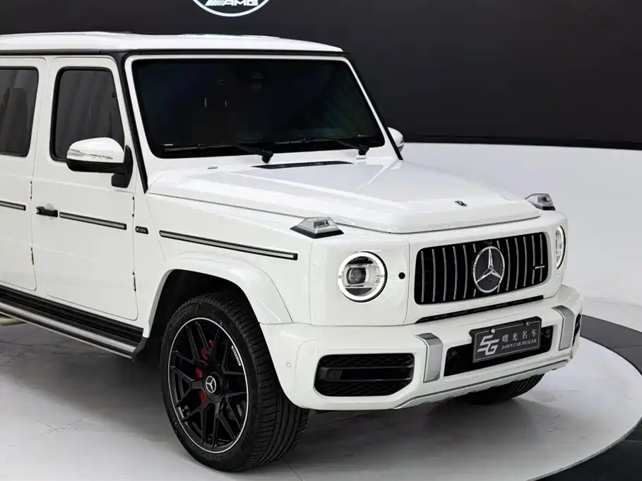 Mercedes-Benz G-Class 2022 G 500 фото 17