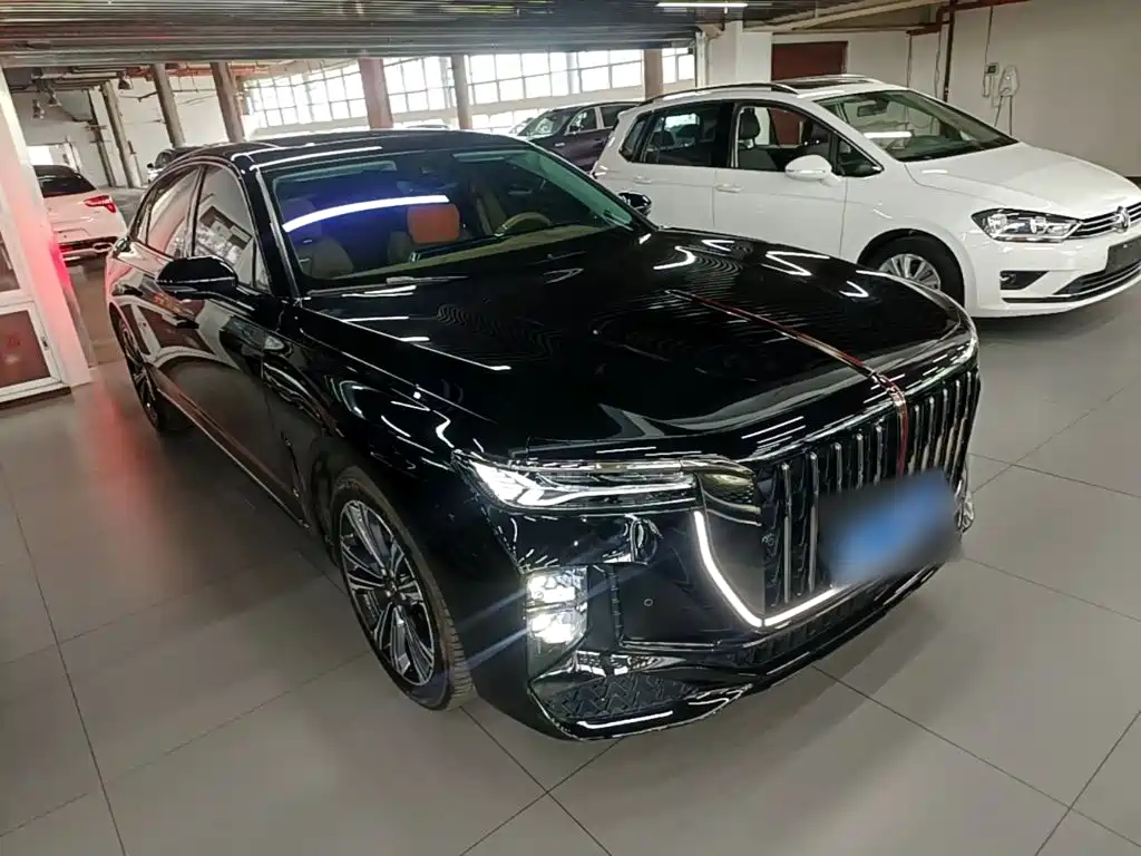 Hongqi H9 2025 2024 2.0T Qi Enjoy Private Fashion Edition