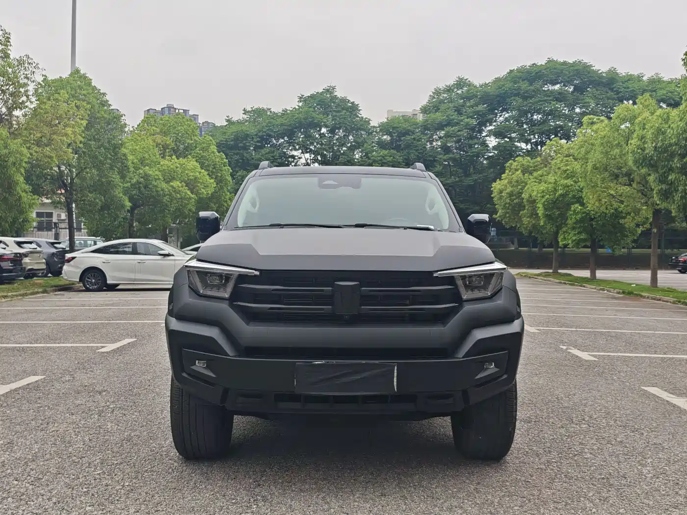 Tank 400 New Energy 2024 Hi4-T Off-Road Edition фото 2