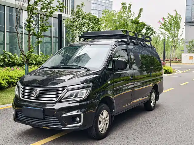 dongfeng lingzhi