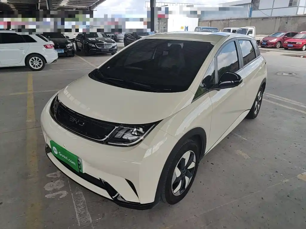 BYD Dolphin 2025 2025 420km Freedom Edition