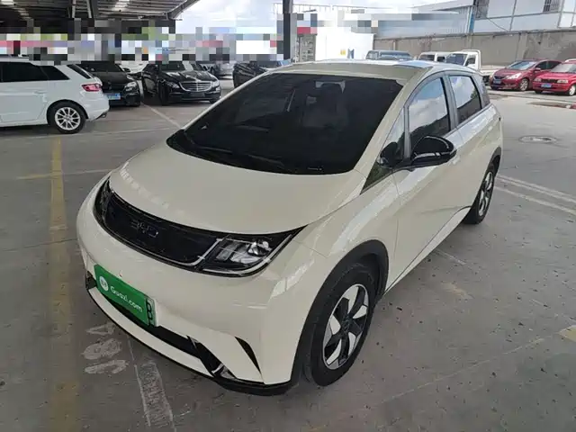 BYD Dolphin 420km, Свобода