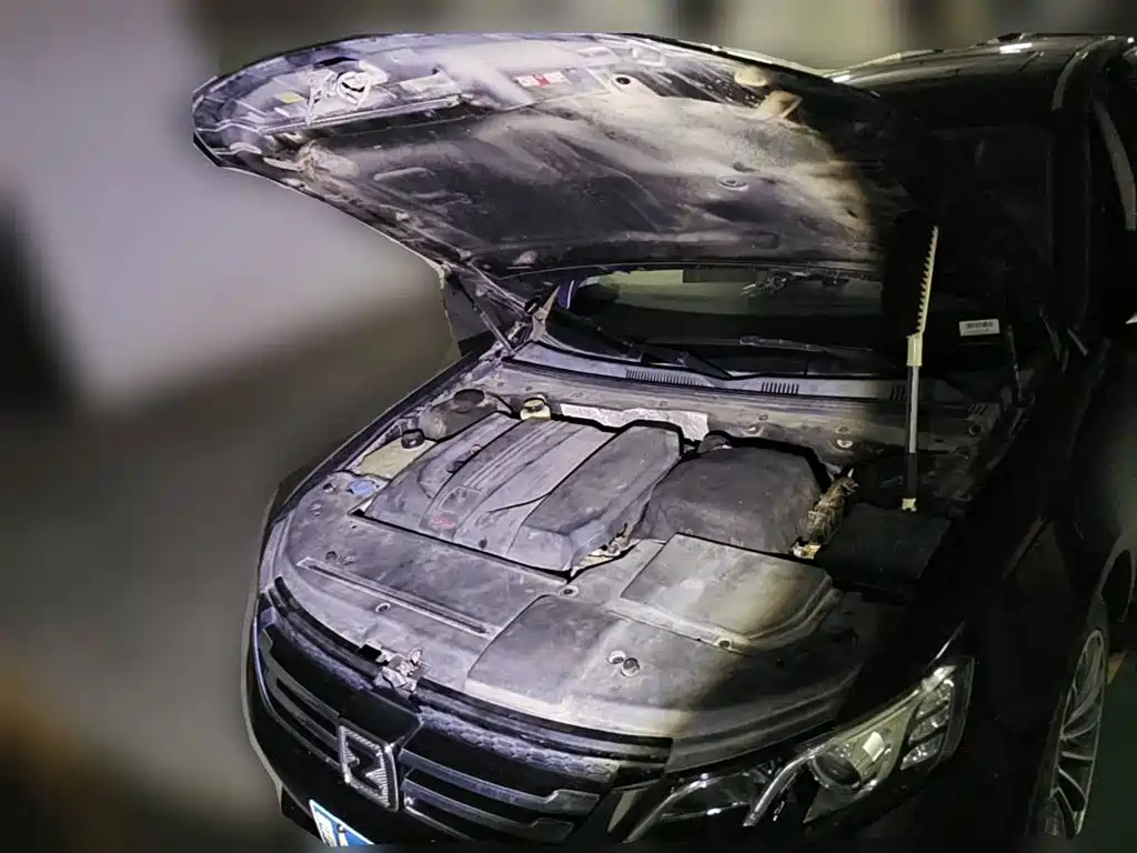 2016 Zotye Z700
