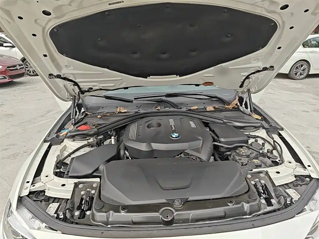 BMW 3 Series 2019 320Li M Luxury Package фото 19