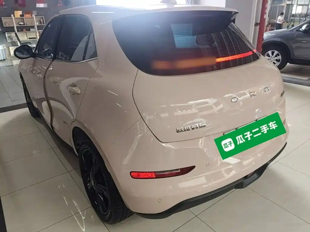 Ora Good Cat 2025 2024 401km Luxury