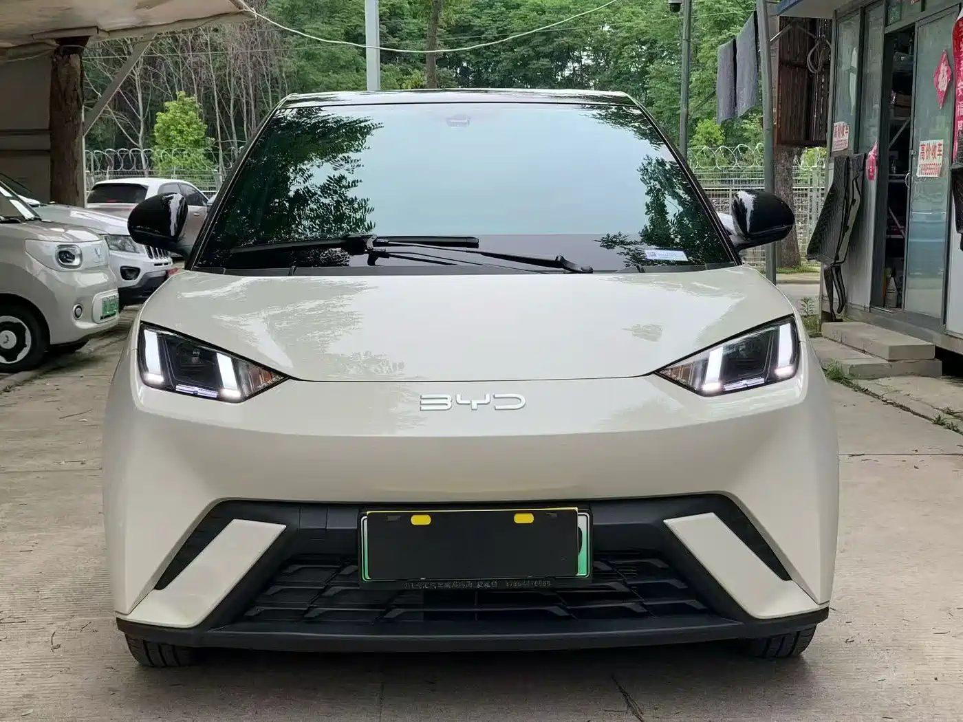 BYD Seagull 2025 Smart Drive Edition 305km Freedom Version фото 2