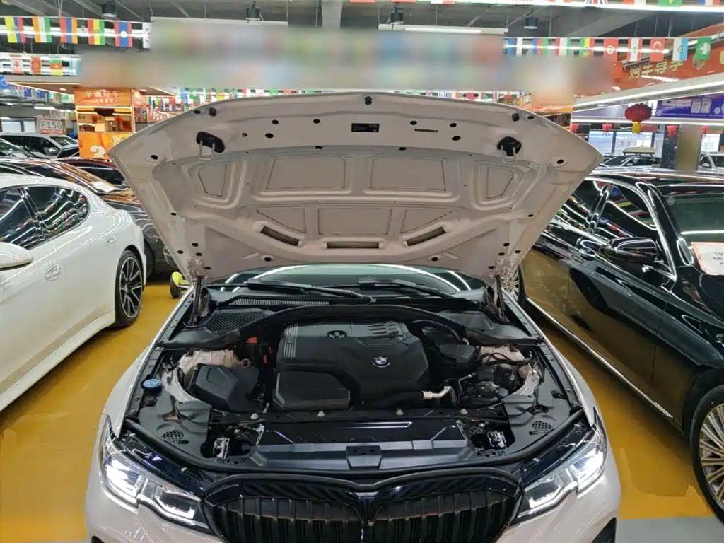 BMW 3 Series 2020 325Li M Sport Black Night Package фото 20