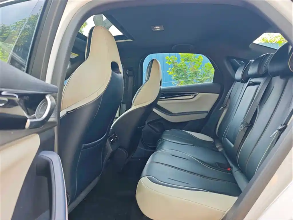 BYD Qin PLUS 2021 DM-i 55KM Flagship фото 12