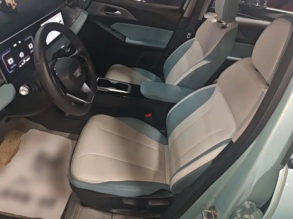 Geely Geometry E Firefly 2024 2024 Model 301km Starlight