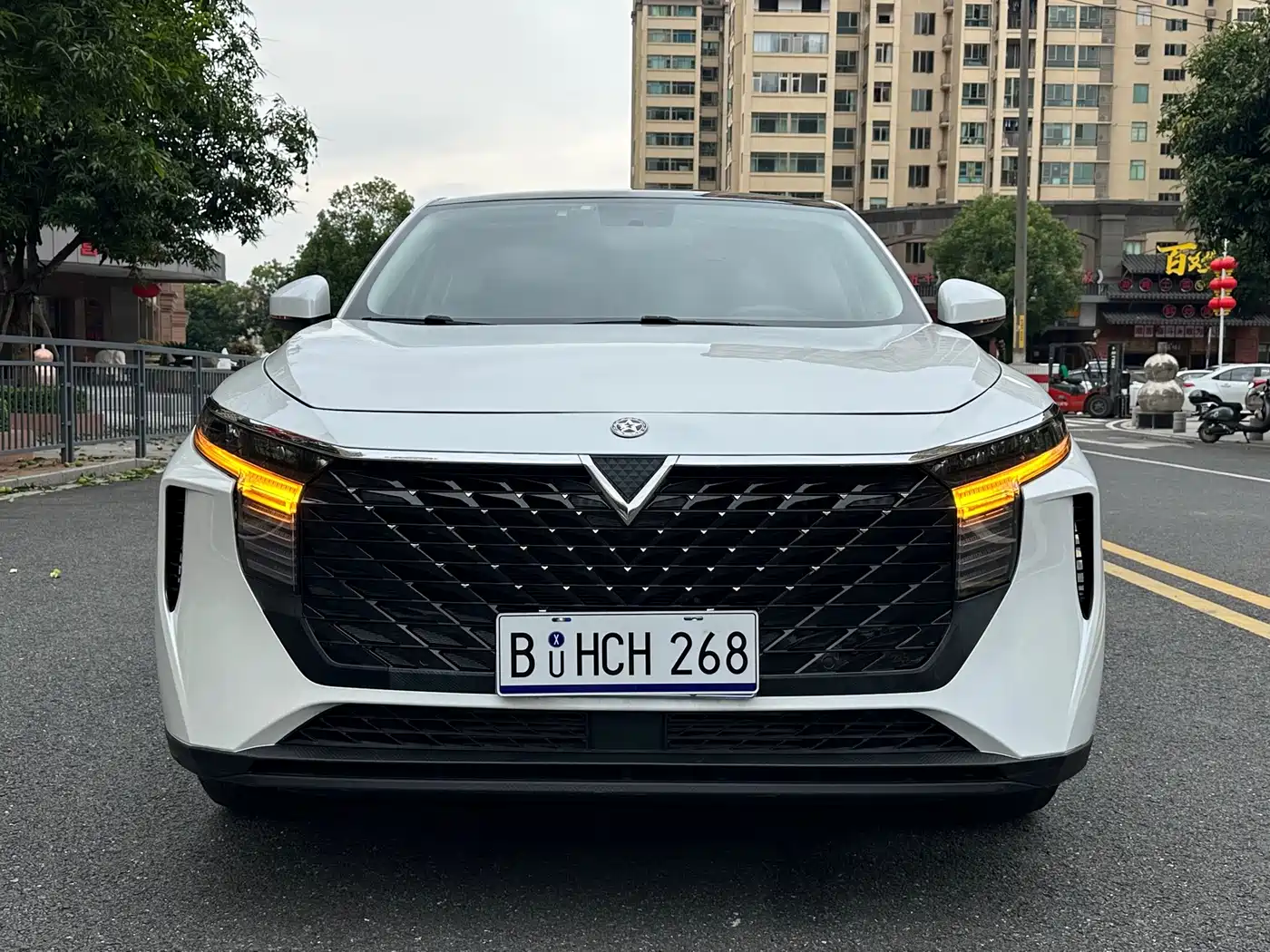Venucia Big V 2022 2022 260T Dark Horse Edition·Idol