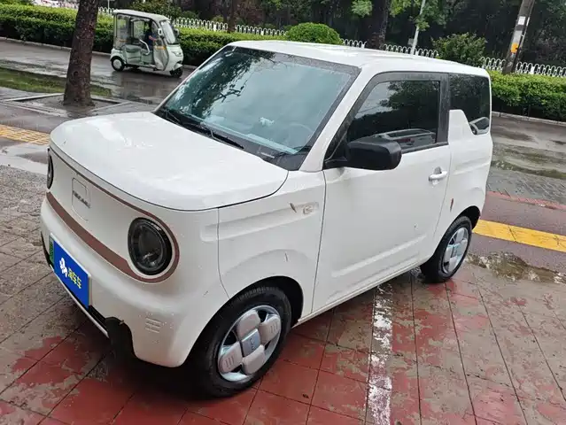 Geely Galaxy Panda 2025