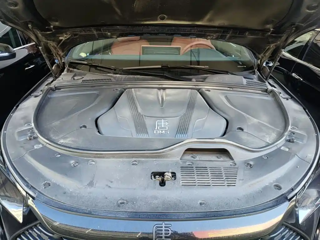 BYD Tang New Energy 2025 2026 Smart Drive Edition DM-i 160KM Premium