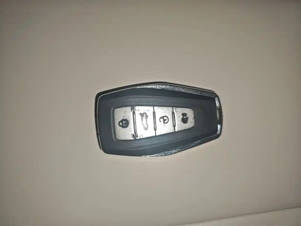 Geely Geometry E Firefly 2024 2024 Model 301km Starlight
