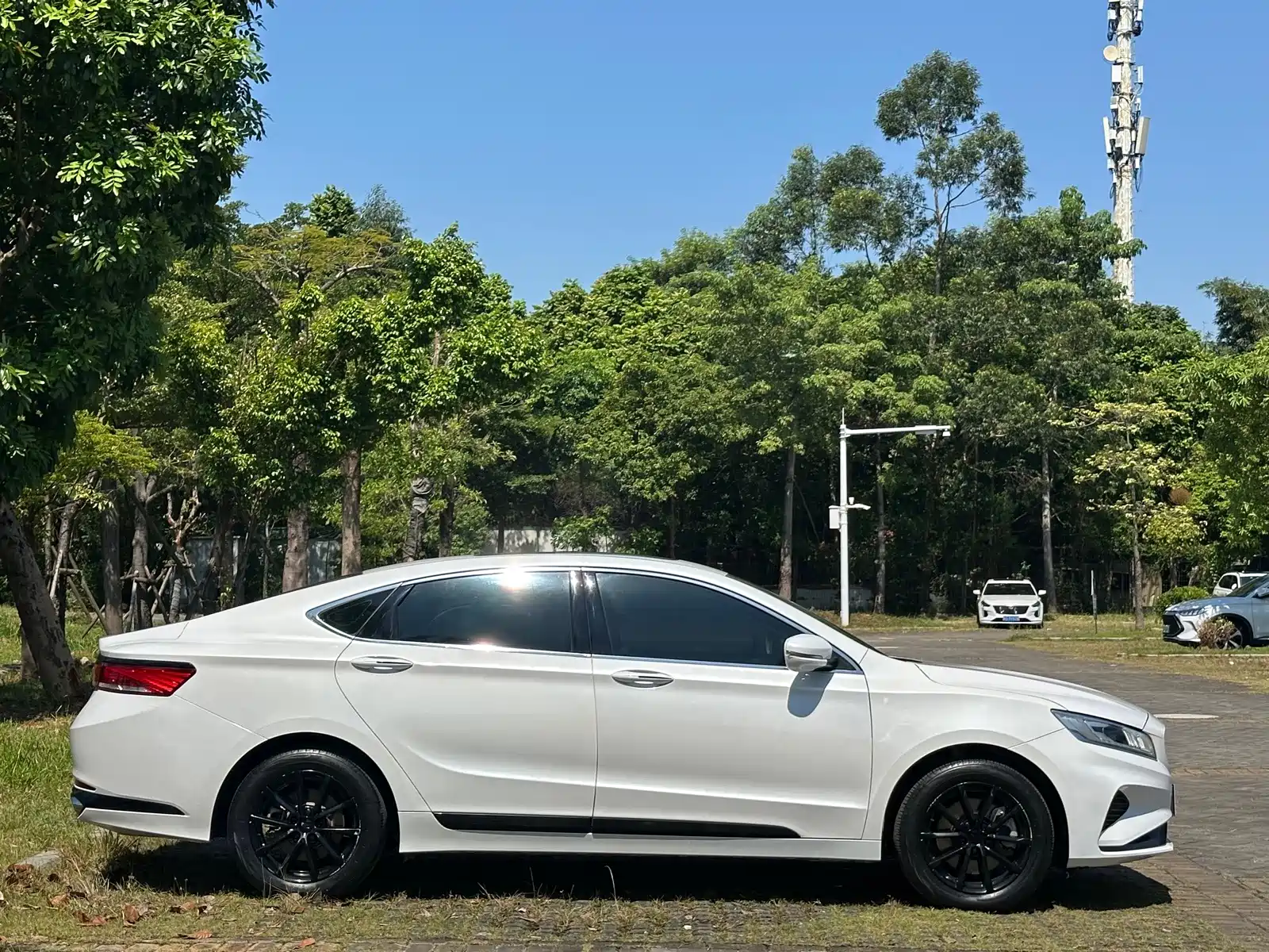 Фото 24 - Geely Borui