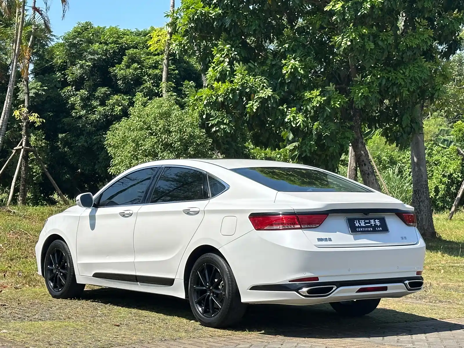Фото 27 - Geely Borui