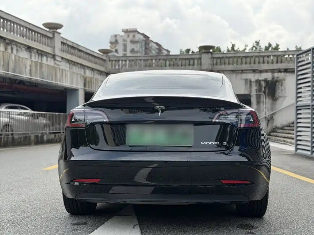 Tesla Model 3 (Import) 2019 2019 Long Range RWD Version
