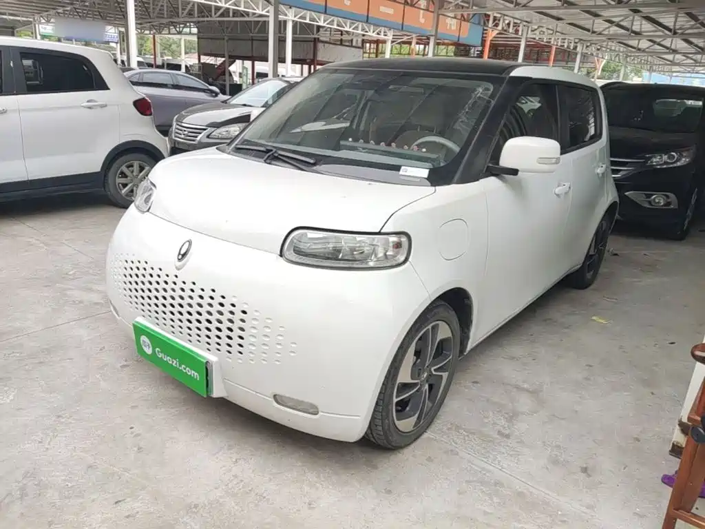 Ora White Cat 2021 2022 Upgraded 305km Luxury (NMC)