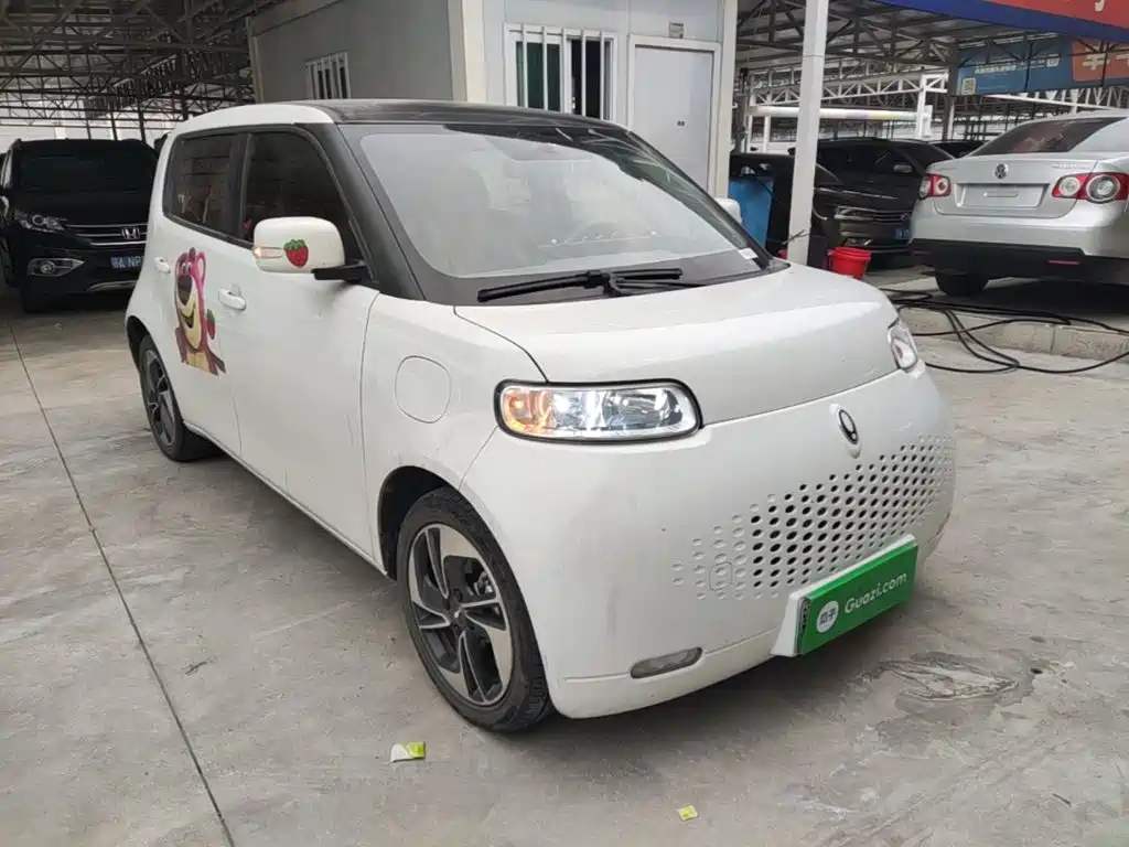 Ora White Cat 2021 2022 Upgraded 305km Luxury (NMC)