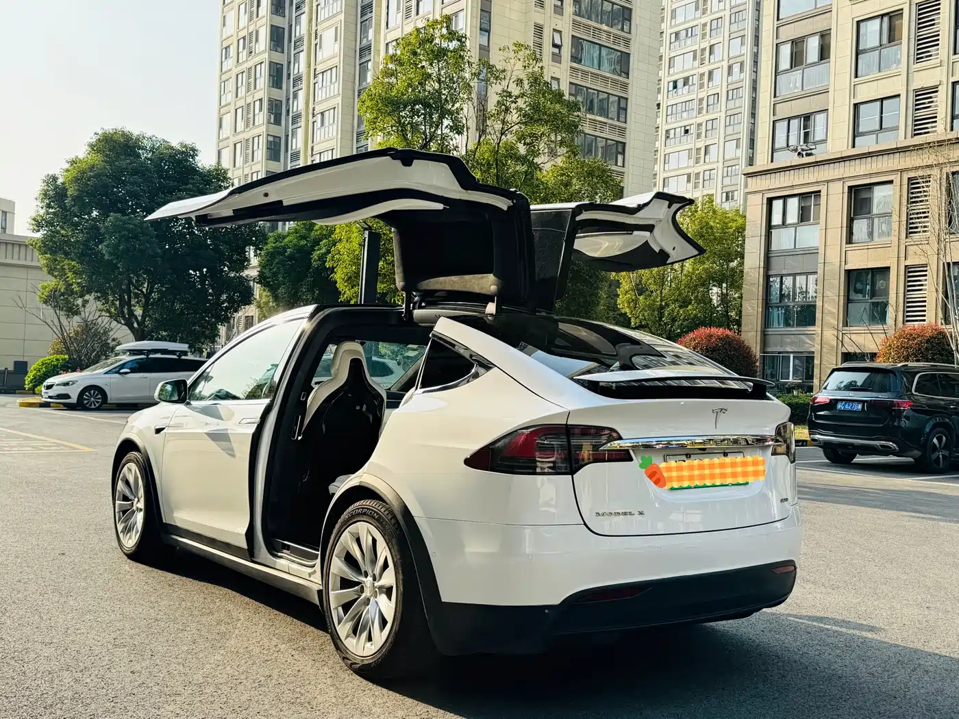 TESLA MODEL X