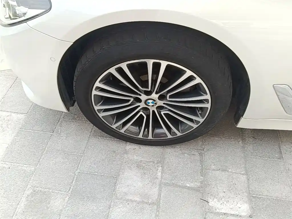BMW 5 Series 2018 Facelift 530Li Exclusive Luxury Package фото 23