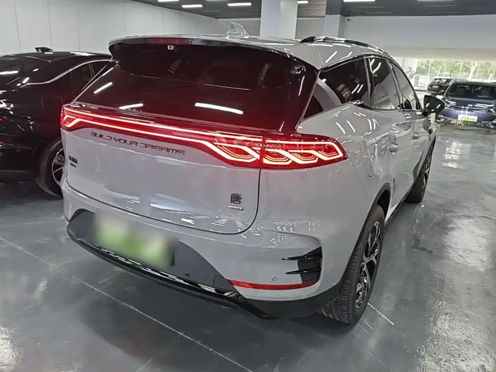 BYD Tang New Energy 2025 Smart Driving Edition DM-i 115KM Flagship фото 7