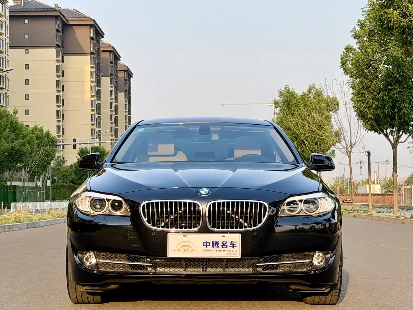BMW 5 Series 2013 530Li Leadership фото 2