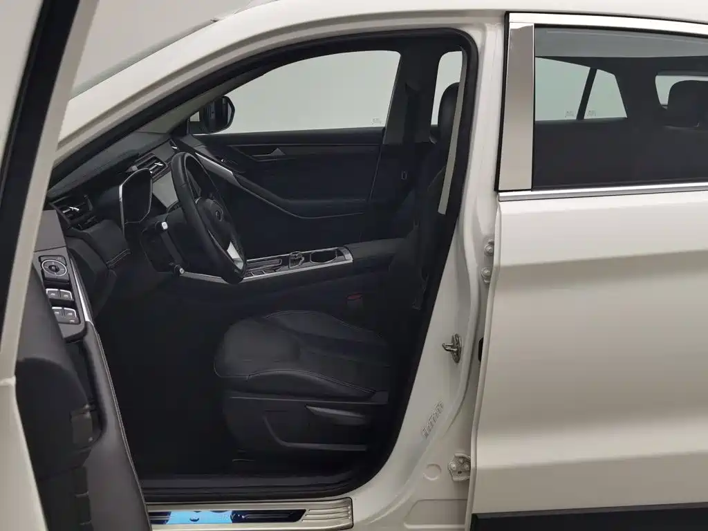 Ford Territory 2019 2019 EcoBoost 145 CVT Platinum Edition China V