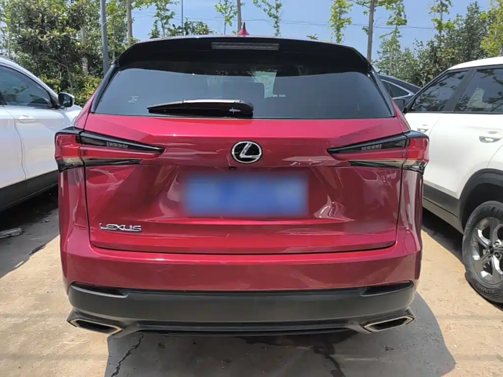 Фото 6 - Lexus NX
