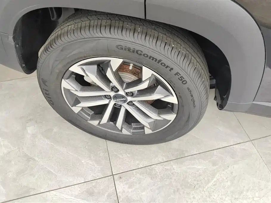 Haval Big Dog 2024 1.5T DCT Border Collie Edition фото 6