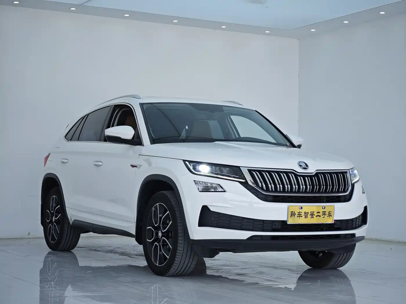Škoda Kodiaq GT 2019 TSI330 2WD Luxury Edition China VI фото 3