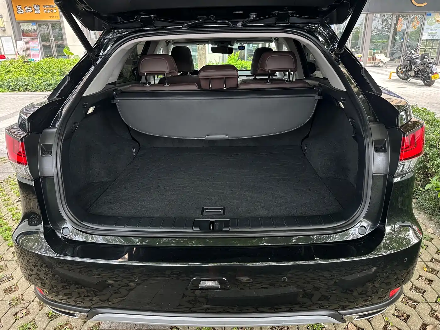 LEXUS RX