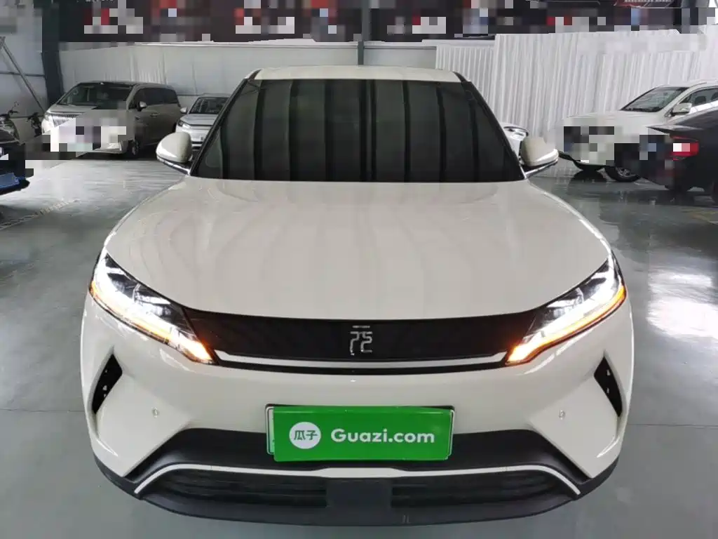 BYD Yuan UP 2025 2025 Model 301KM Navigator