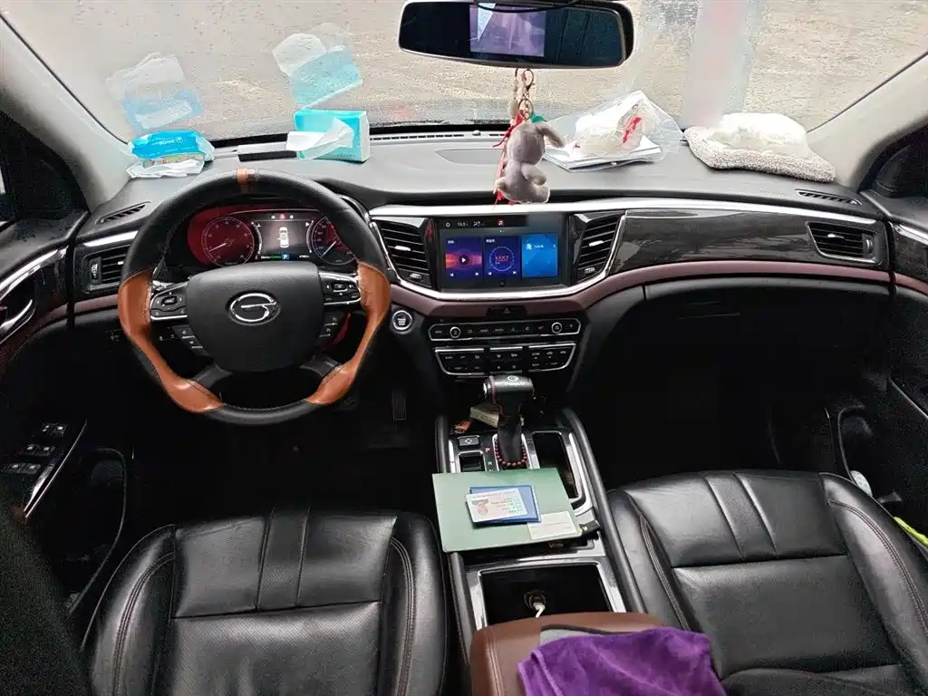 GAC Trumpchi Trumpchi GS8 2017 320T 2WD Luxury Edition (7-Seater) фото 6