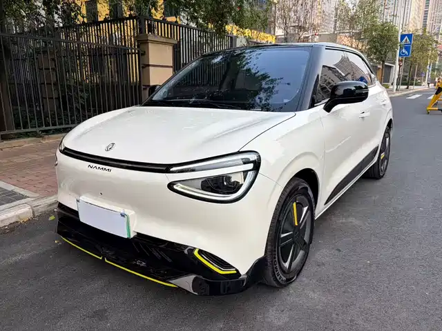 Dongfeng Yipai Nano 01 2024 Co-Creation Edition YOU Version